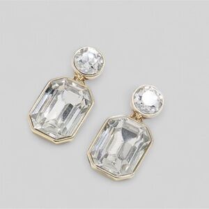 J.Crew-Crystal drop statement Earrings-New